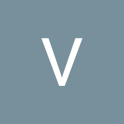 Virtually Vibha